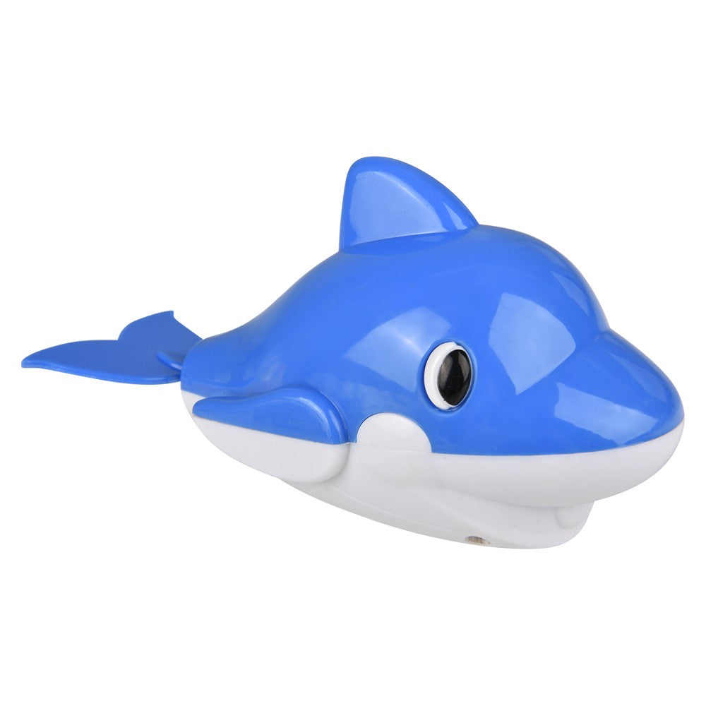 Wind Up Dolphin (12 Pc Display)