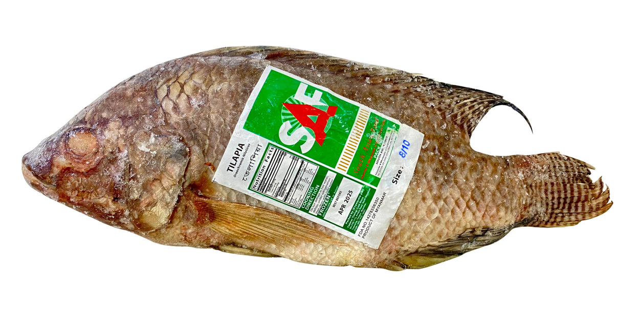 Tilapia (Vac – IQF)- 8/10 KG