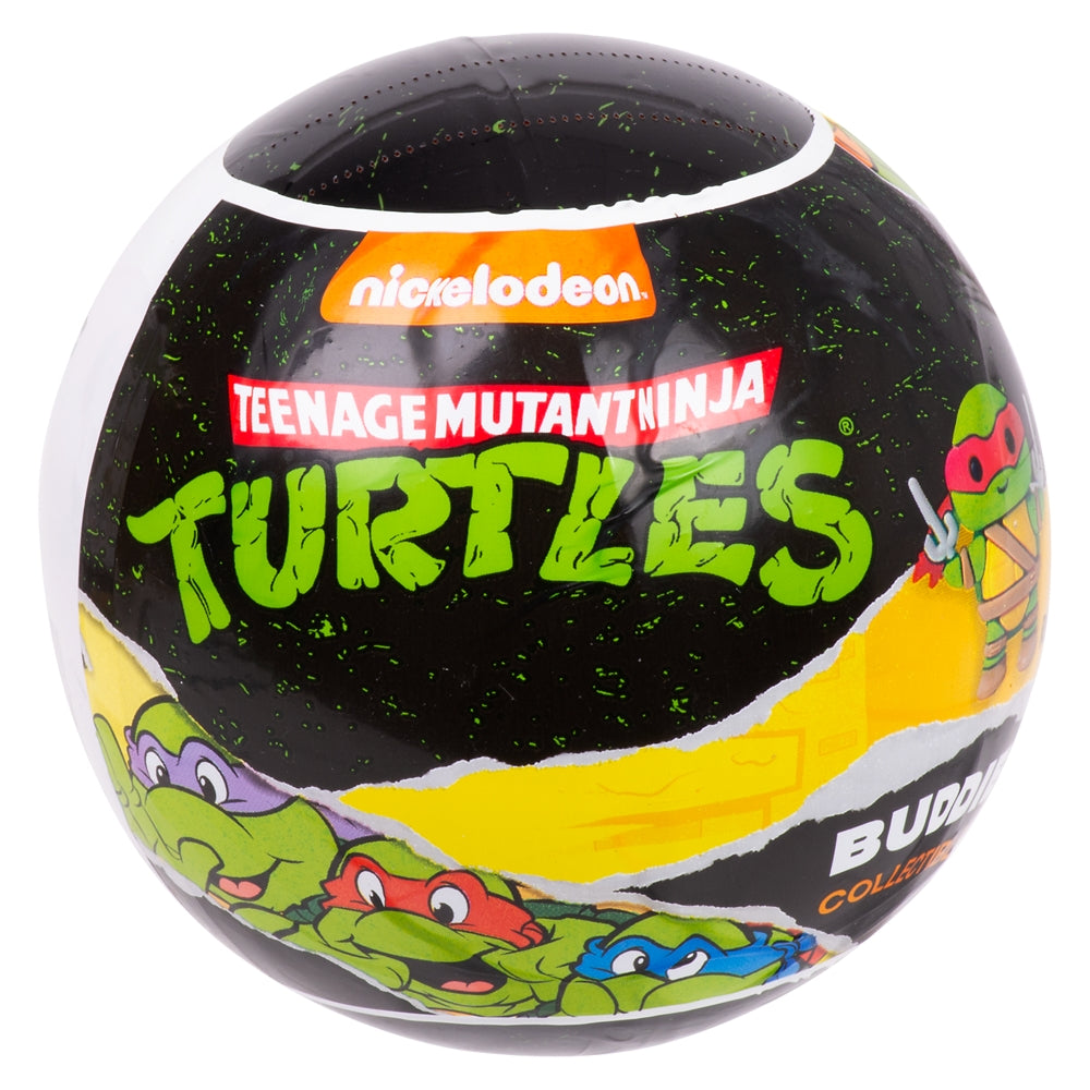 Teenage Mutant Ninja Turtles Blind Capsule Display (20ct)