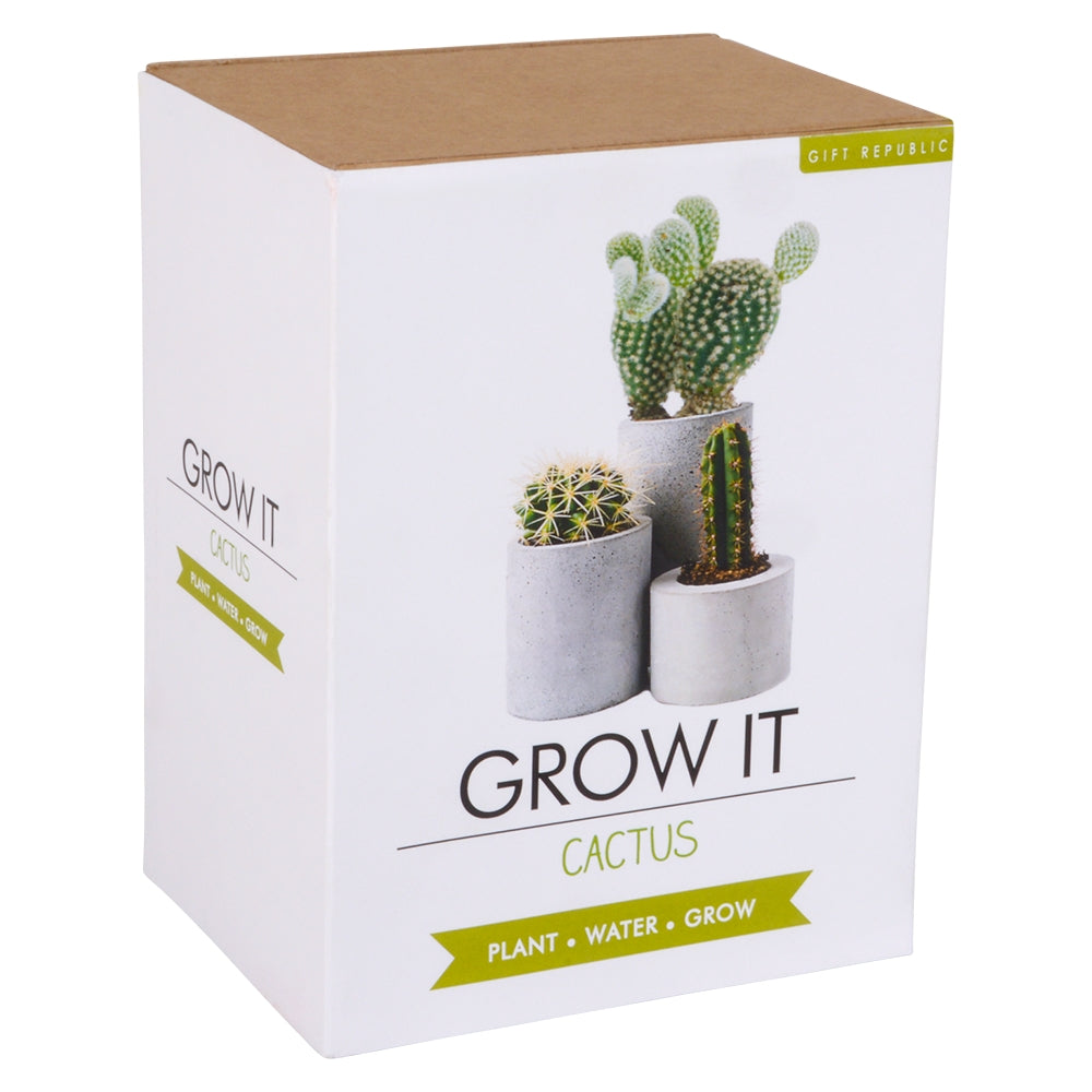 Grow It Cactus Kit