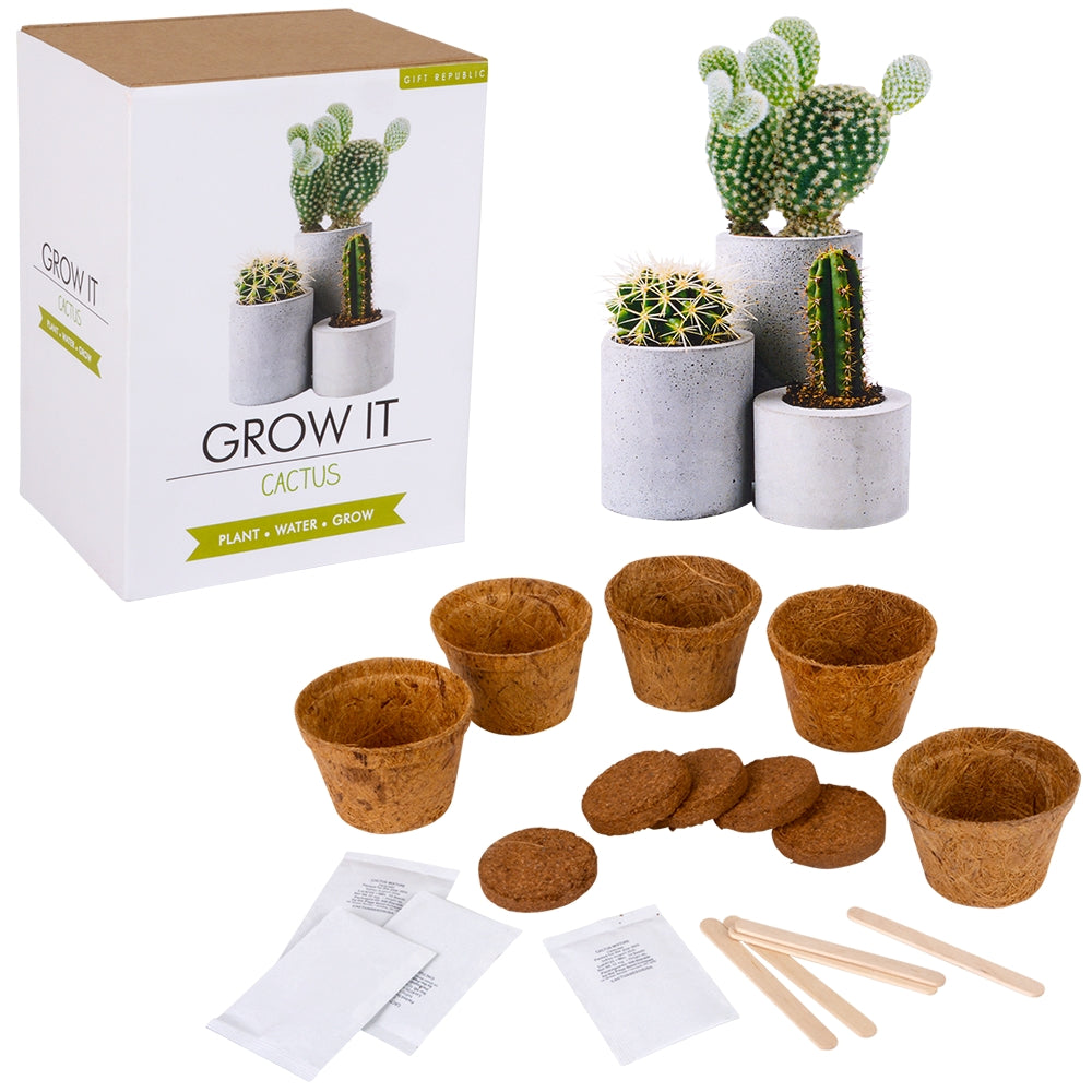 Grow It Cactus Kit