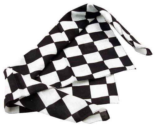 Racing Bandanas Set of 12 for Race Car Driver Costume Parties and Themed Events