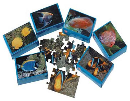 Colorful Fish Puzzles Set Includes 12 Units for Aquatic Themed Parties and Luau Events