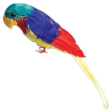 Realistic Feather Parrot Decoration for Luau Parties Themed Events and Tropical Celebrations