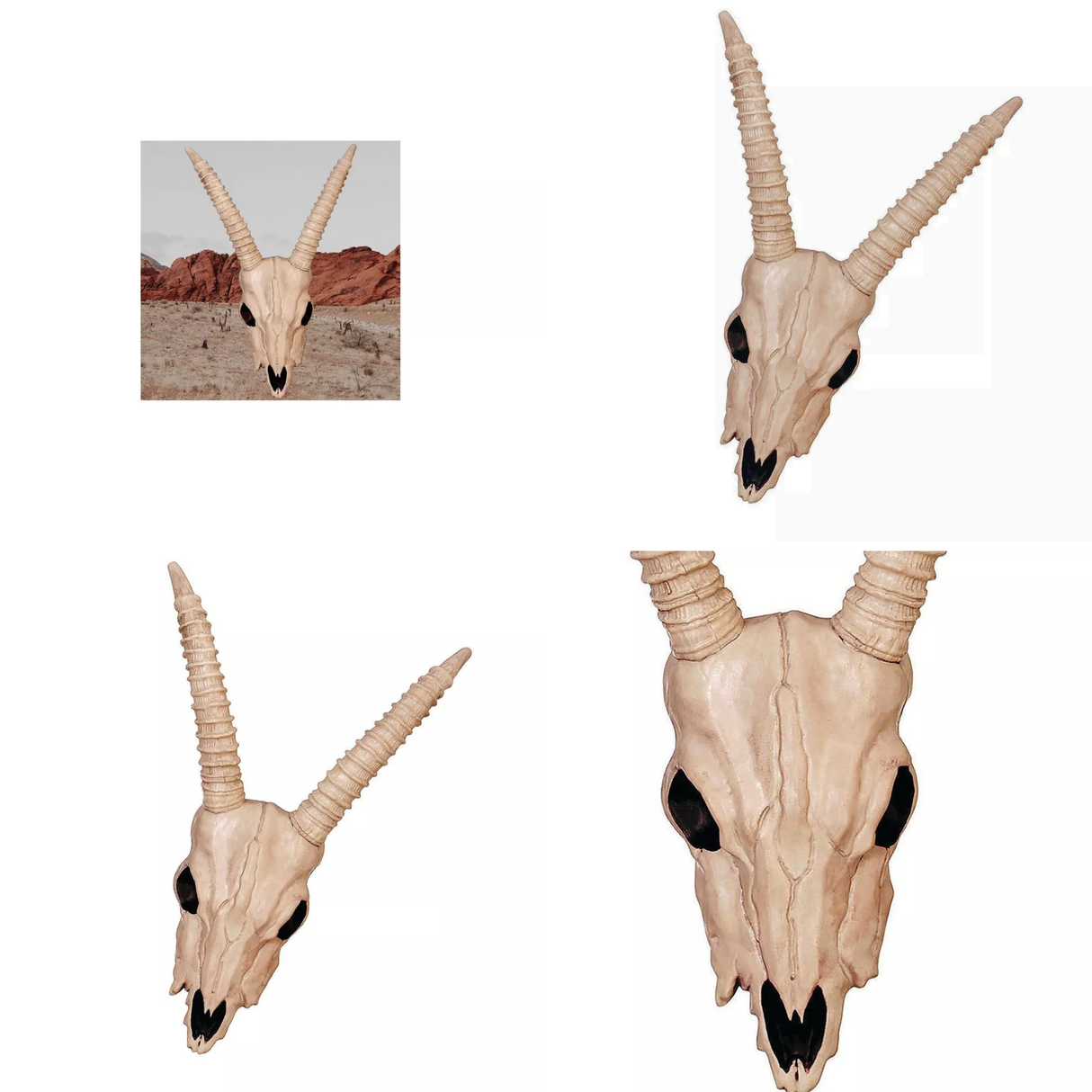 Skeleton Gazelle Head – 18" Halloween Skull Decoration