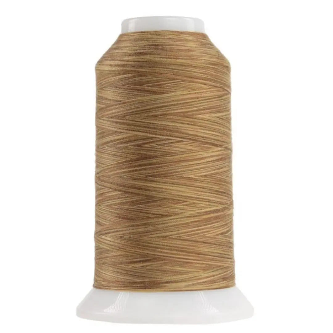 Variegated Polyester Thread Palomino Omni