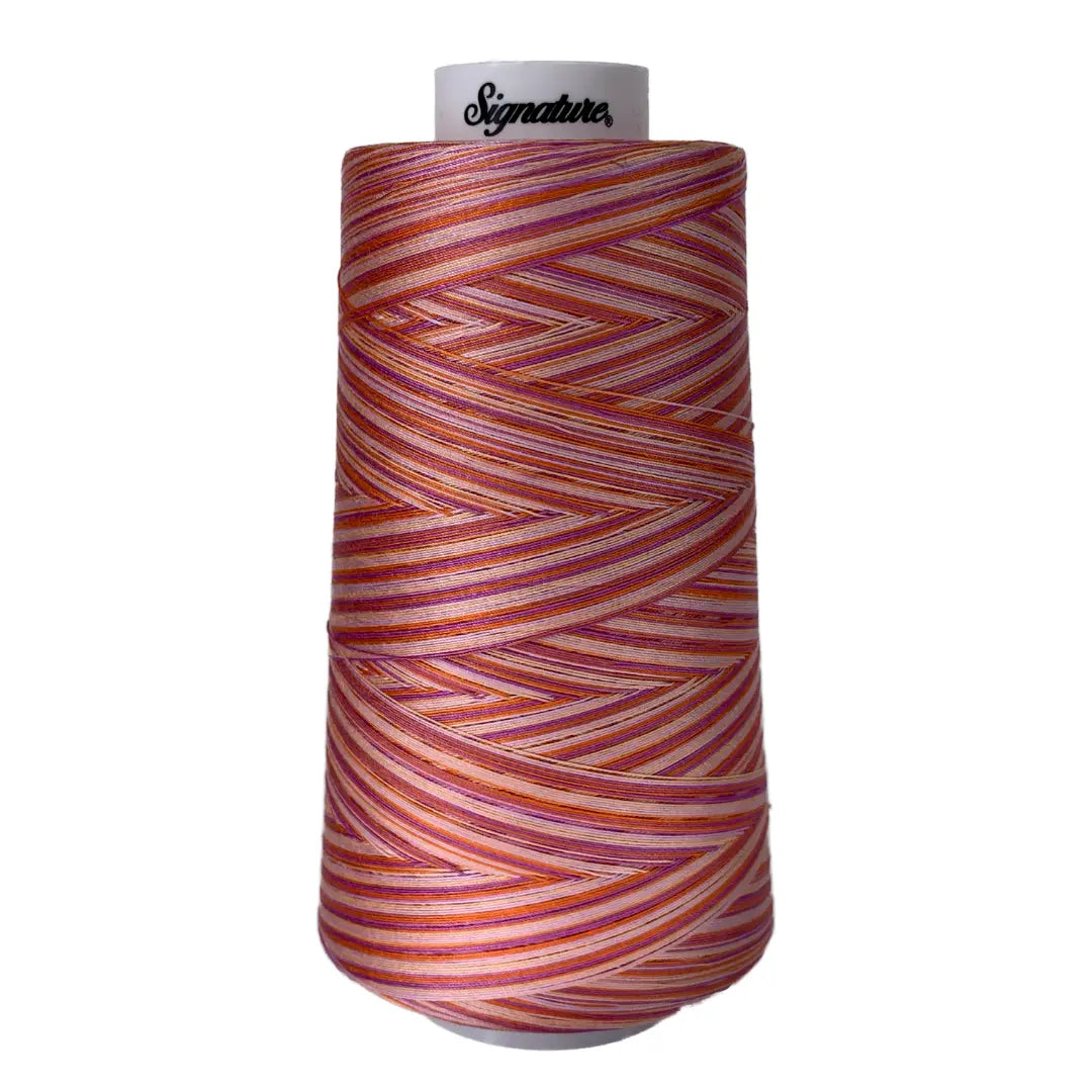 Cotton Variegated Thread Cotton Candy 3000 Yards