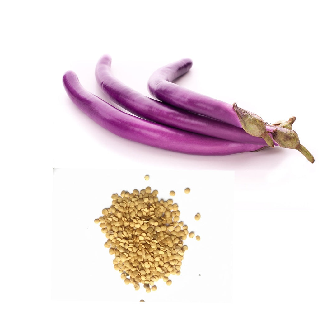 Eggplant Long Purple Seeds Rare NJ Grower USA Heirloom Organic
