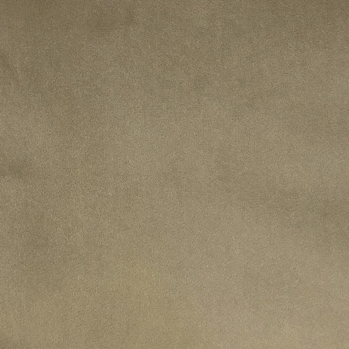 Varro Solid Velvet Polyester Fabric - Solid Velvet, 55" Width (1 Yard)