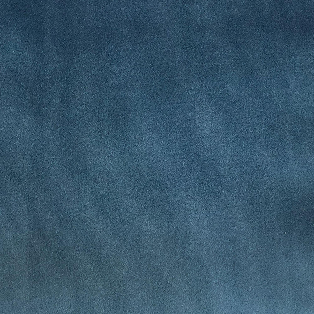 Varro Solid Velvet Polyester Fabric - Solid Velvet, 55" Width (1 Yard)