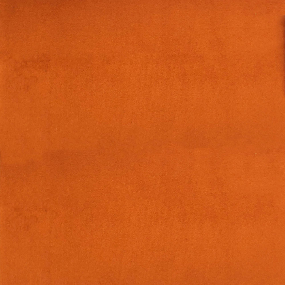 Velluto Solid Velvet Fabric - Solid Velvet, 57" Width (1 Yard)