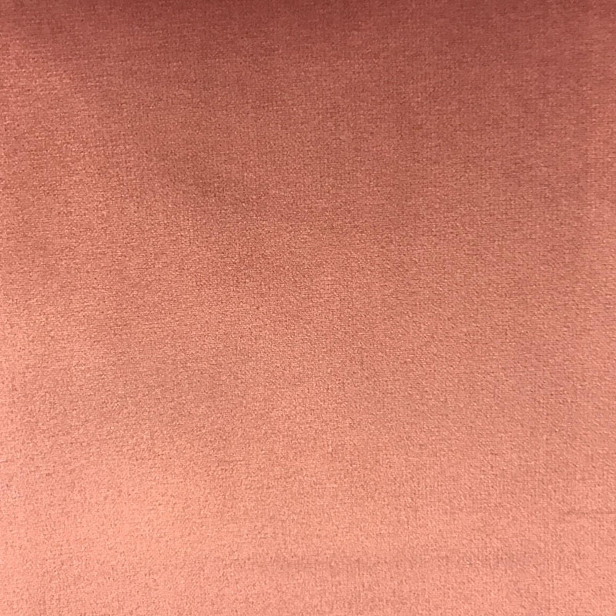 Velluto Solid Velvet Fabric - Solid Velvet, 57" Width (1 Yard)