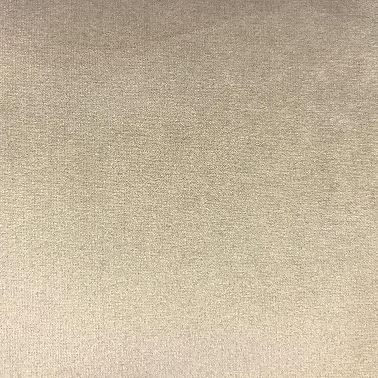 Velluto Solid Velvet Fabric - Solid Velvet, 57" Width (1 Yard)