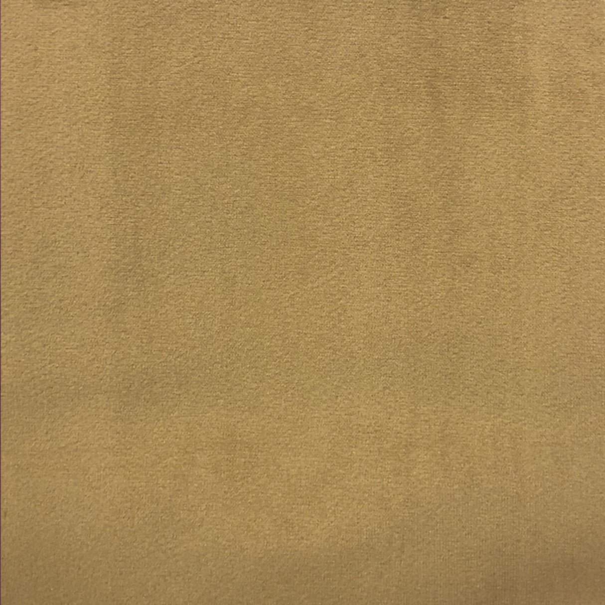 Velluto Solid Velvet Fabric - Solid Velvet, 57" Width (1 Yard)