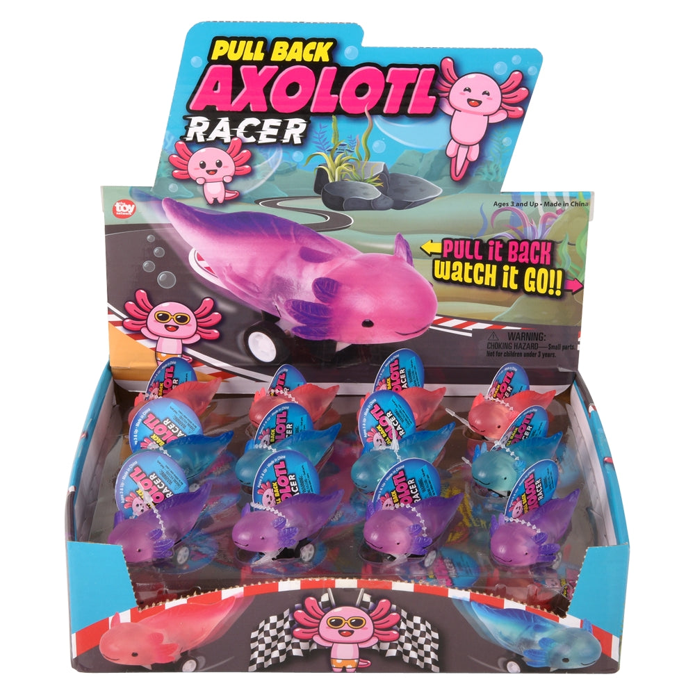 Pull Back Axolotl Toy (24 Ct Display)