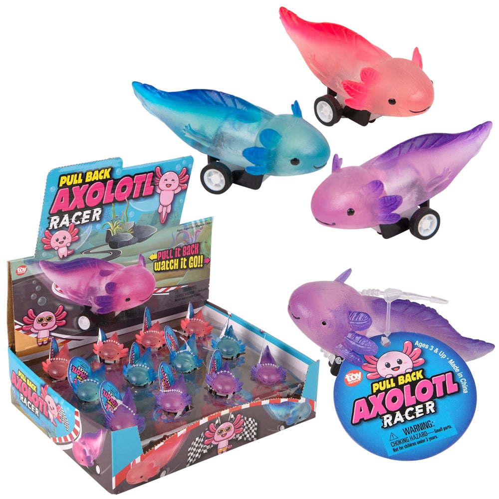 Pull Back Axolotl Toy (24 Ct Display)