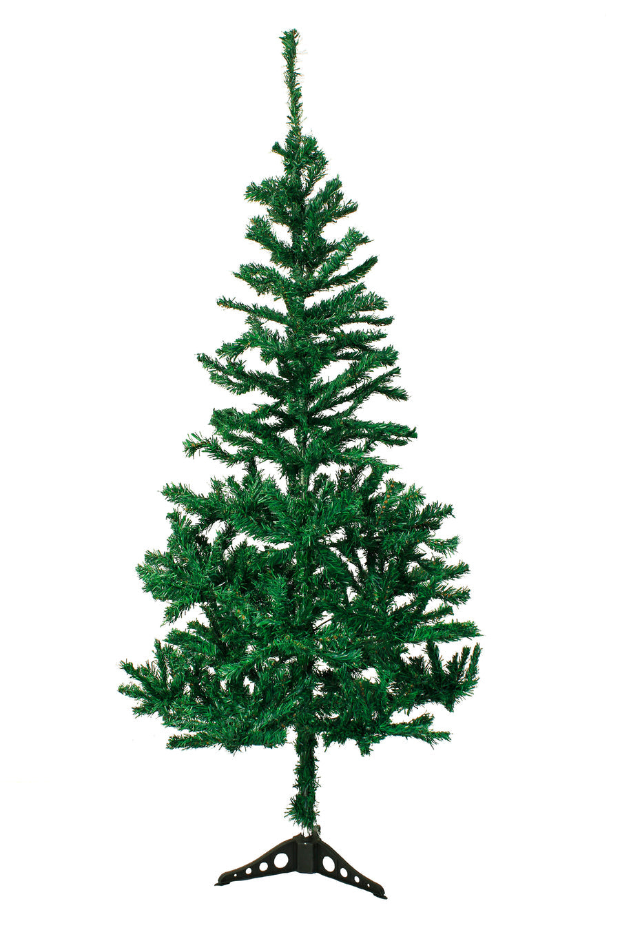 Classic Canadian Pine Tree