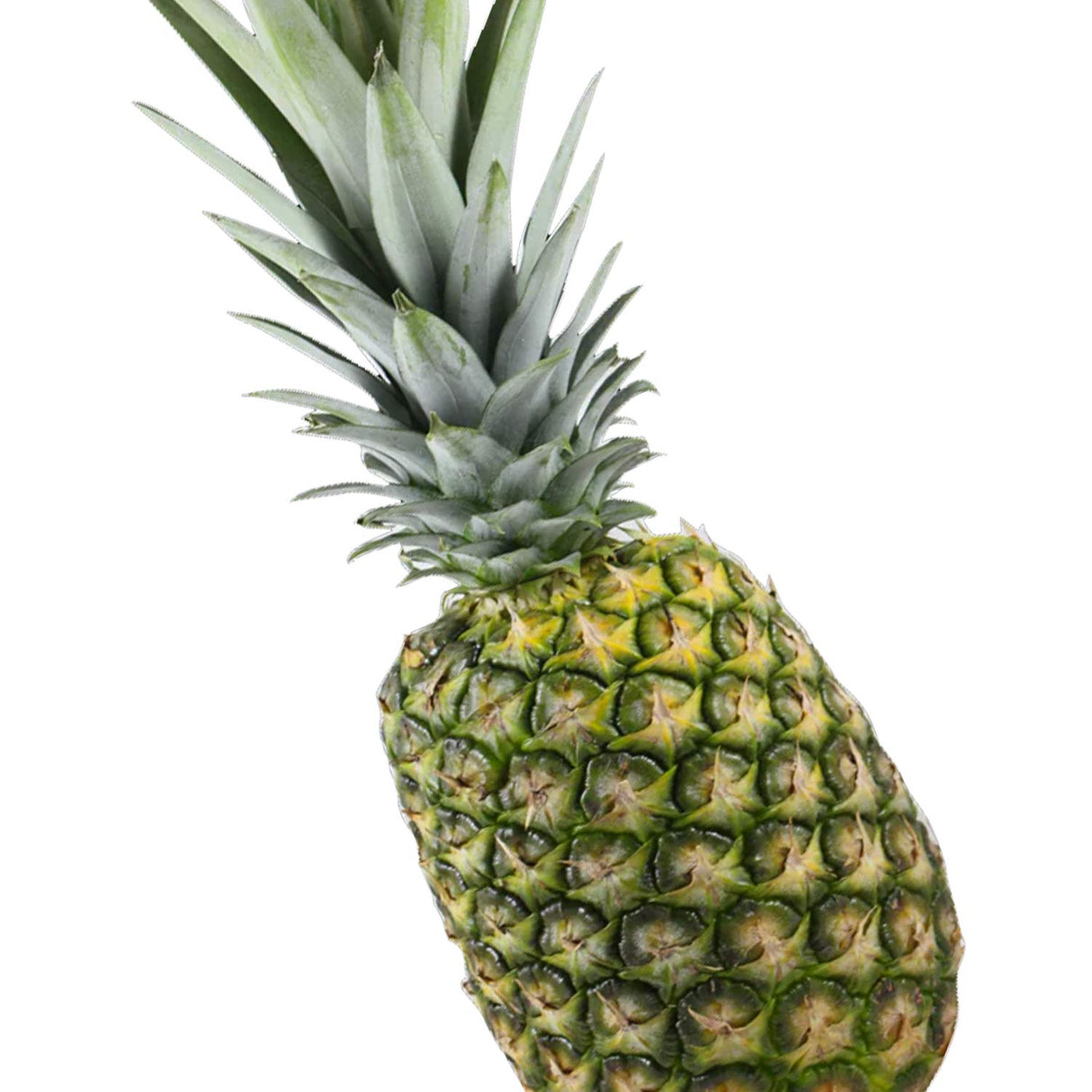 Trader Joe’s Pineapple 1 Each