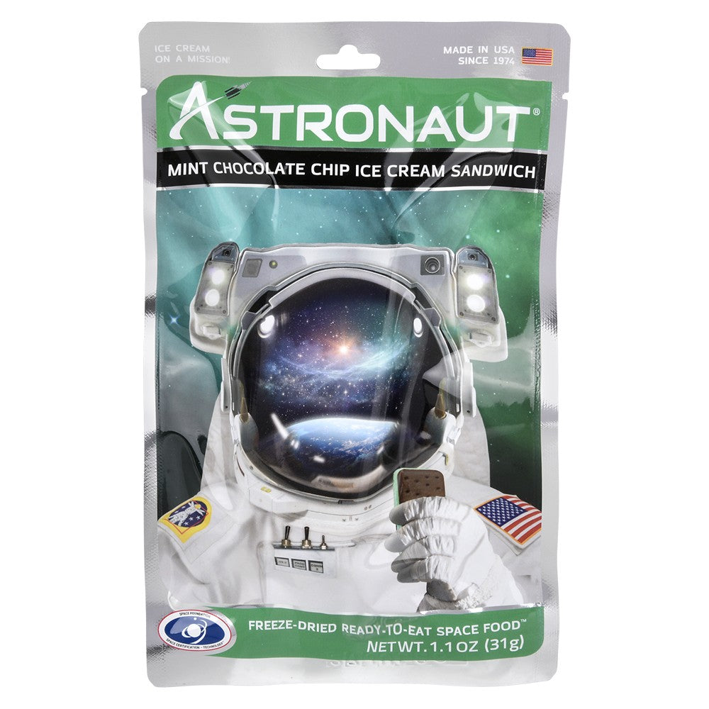 Astronaut Mint Chocolate Chip Ice Cream Sandwich