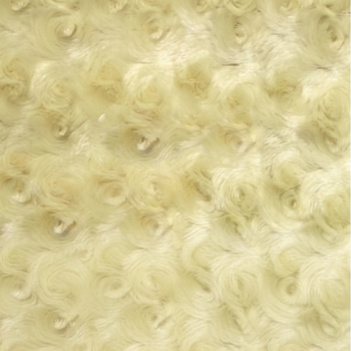 Rose Minky Fabric by the Yard – 58" Wide Ultra Soft Floral Cuddle Plush Fabric