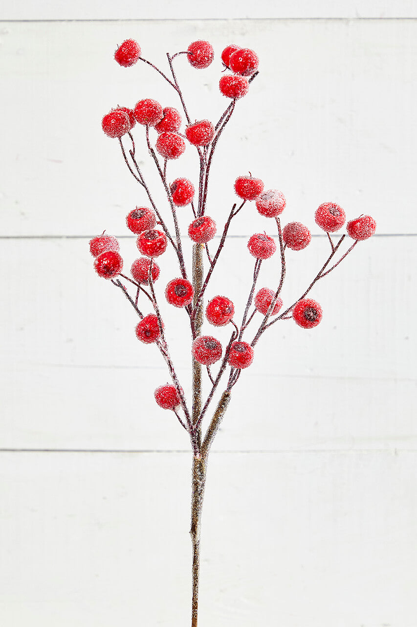 26” Beaded Crabapple Spray - Red