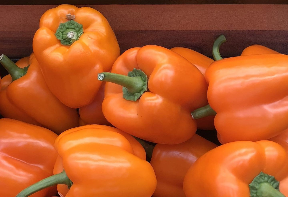 Orange Bell Peppers