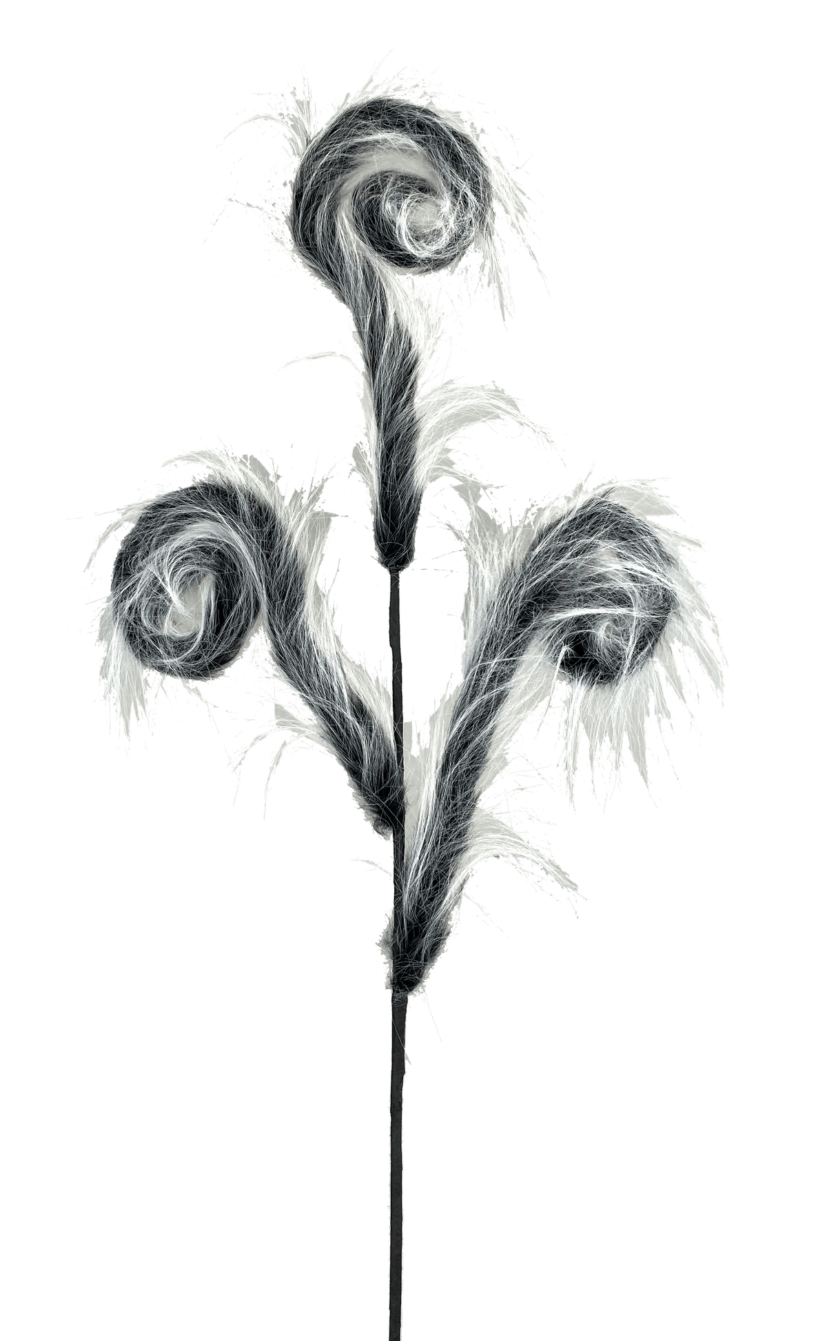 30” Furry Spiral Curly Spray - Black/White