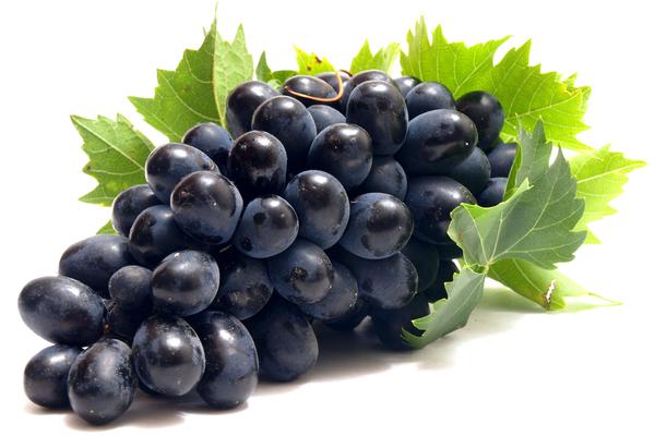 Black Grape