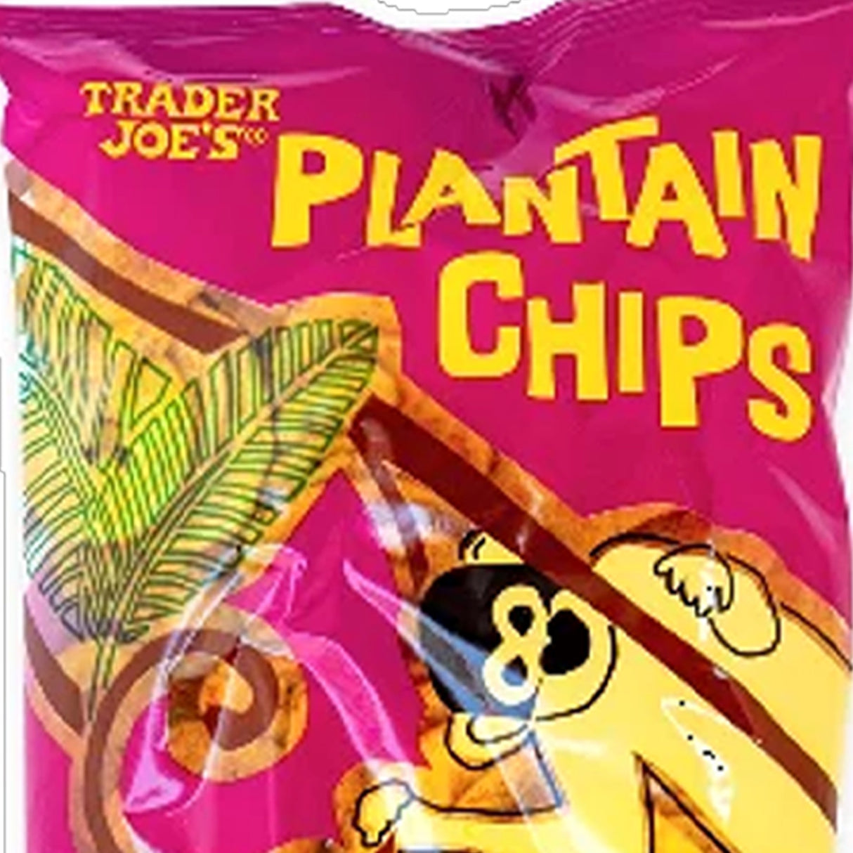 Trader Joe’s Plantain Chips 6 Oz