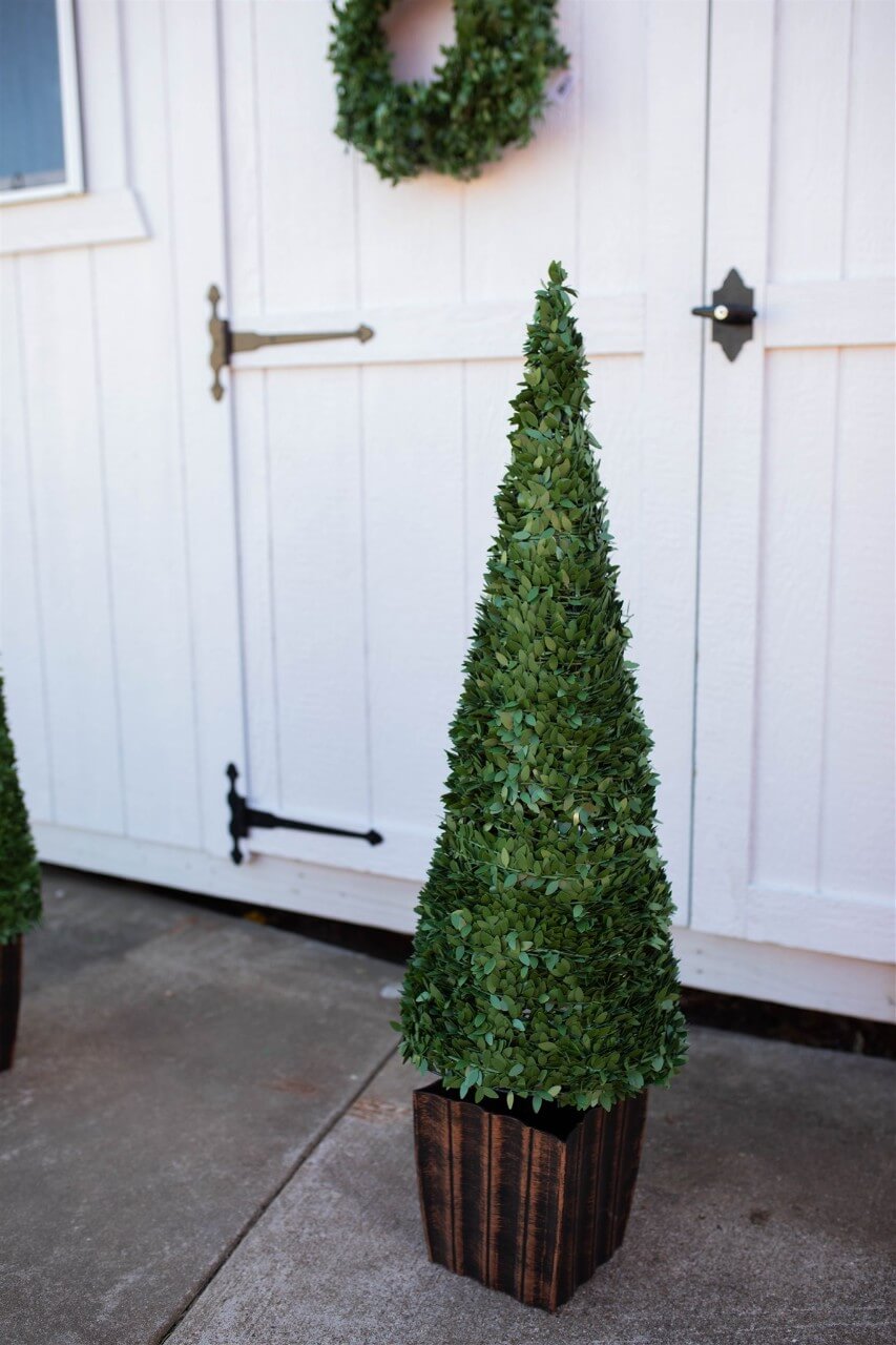 3.5' Faux Boxwood Trees - Set of 2