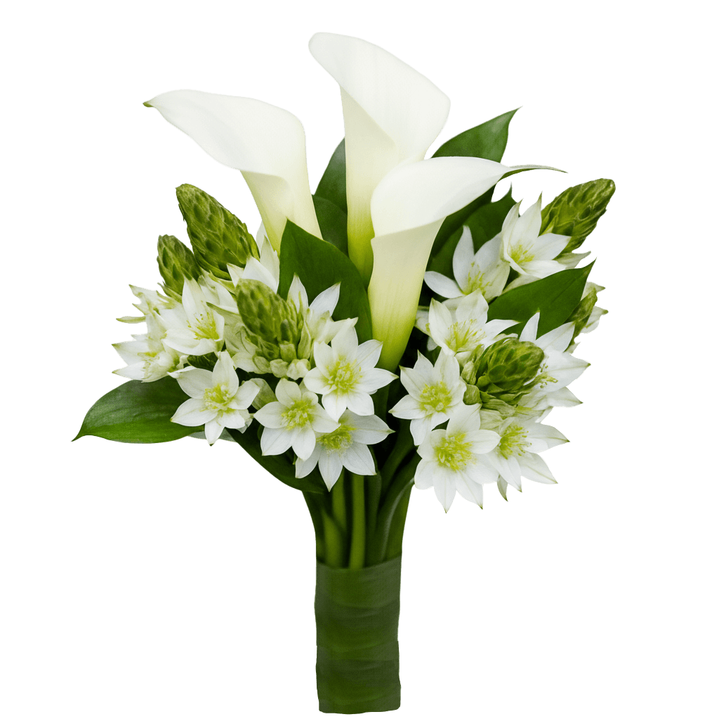 Calla Lily Star of Bethlehem Bridesmaids Bouquets 6 Sets 20 Stems Each