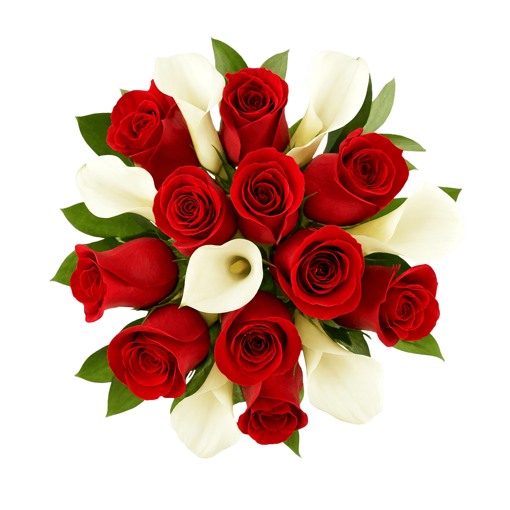 Red Roses White Calla Lilies Bridesmaids Bouquets 6 Sets Fresh Flowers 26 Stems Each