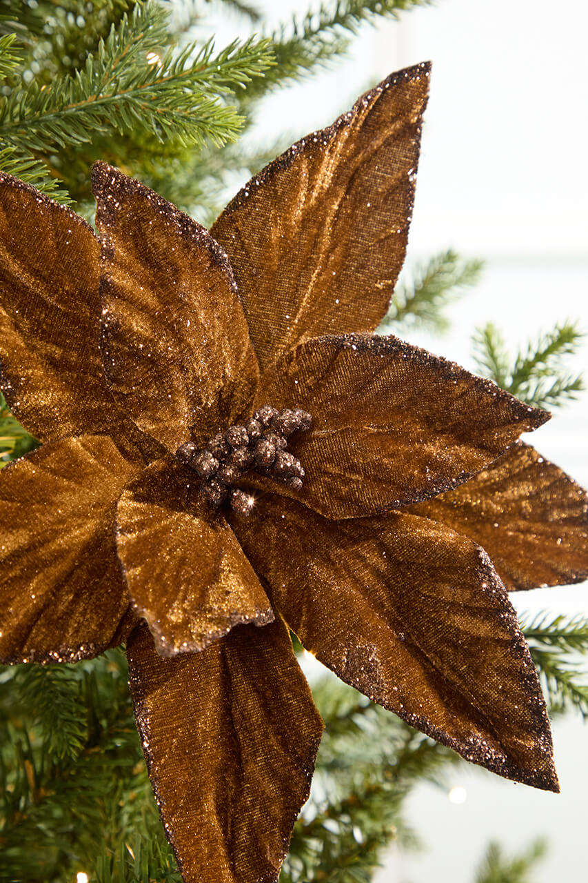 19" x 12" Brown Poinsettia Stem