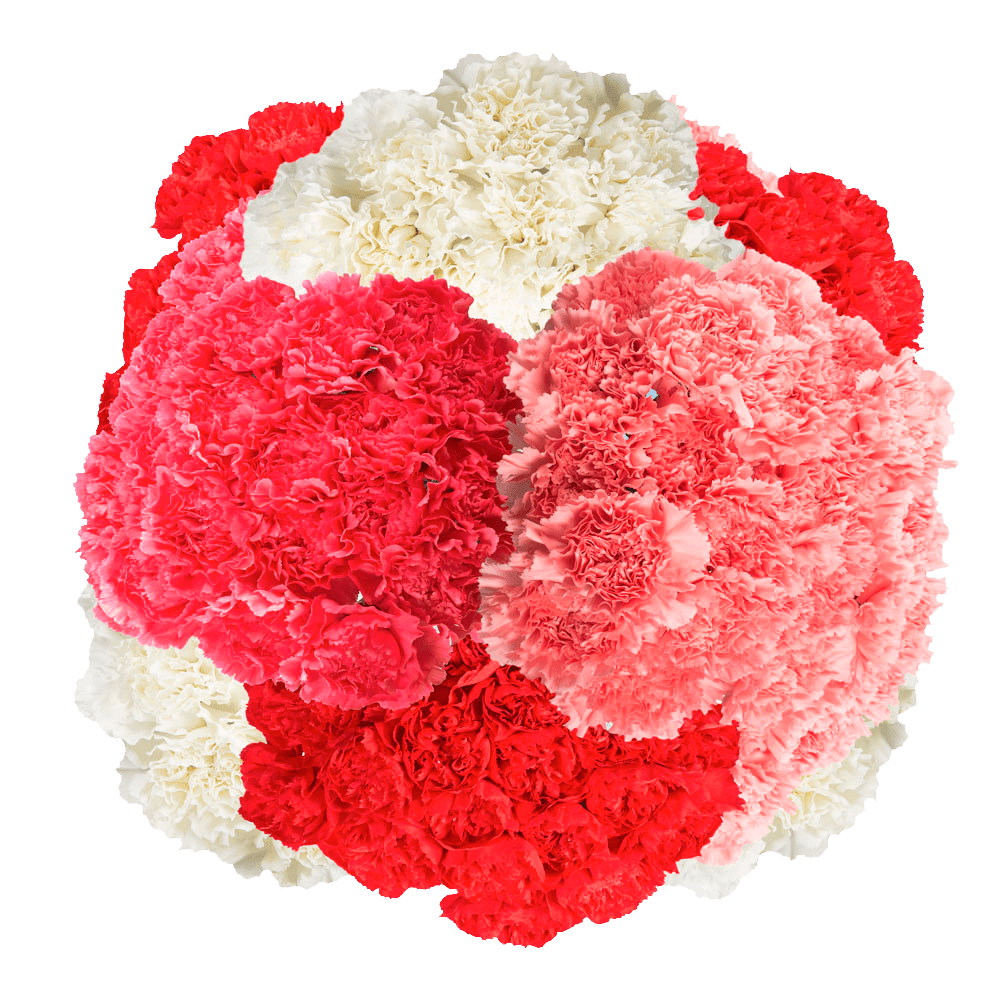 Valentine’s Day Carnation Stems – 400 Fresh Flower Bouquets