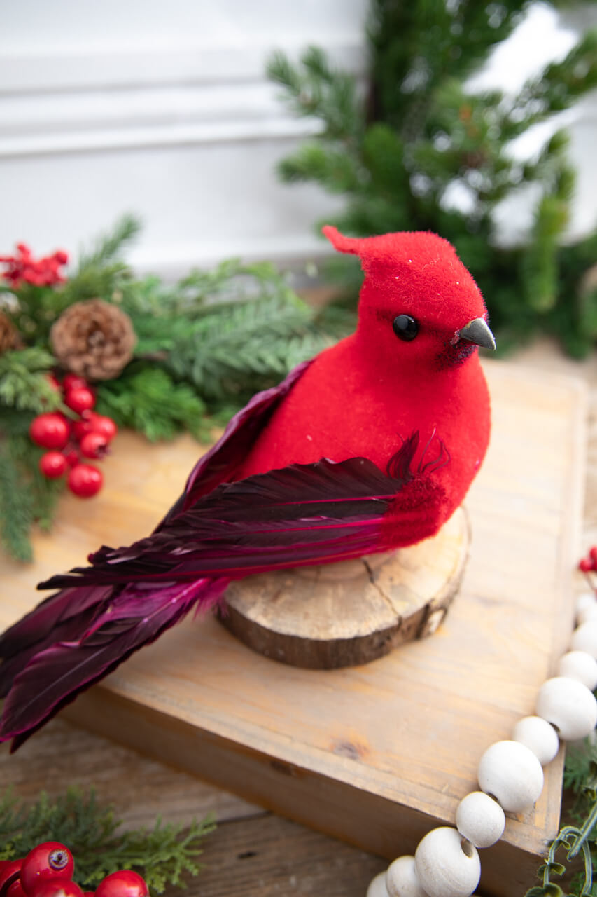 9” Velvet Feathered Cardinal Clip Ornament
