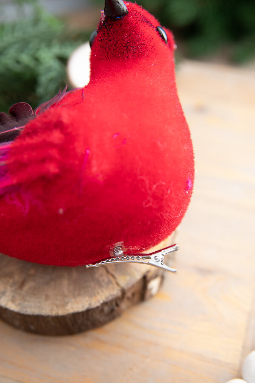 9” Velvet Feathered Cardinal Clip Ornament