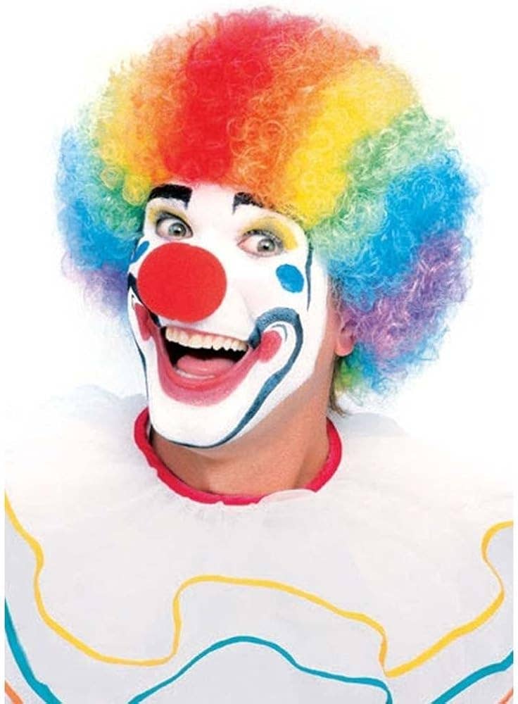 Colored Clown Wig