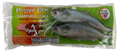 Hilsa – (IQF)