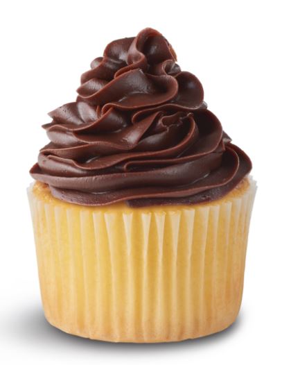 Major Homestyle Chocolate Buttercreme Icing 1 lb. pound Ready to Use