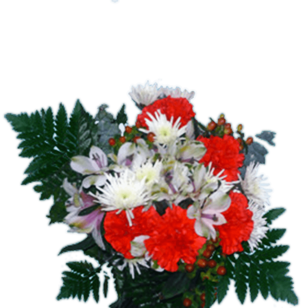 Snow Christmas Bouquets Fresh Holiday Floral Arrangement Red White Winter Flower Bundle