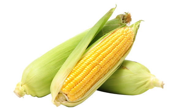 Corn