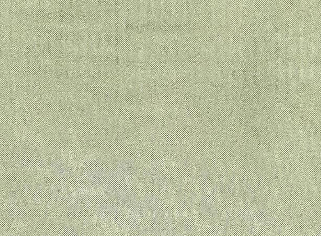 1 Yard Crystal Organza Apple Green Fabric 58/60 Inches Wide