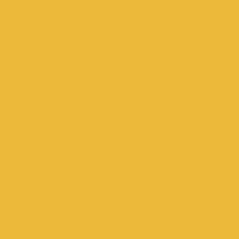 CVC Cotton Polyester Spandex Fabric - Solid Colors, 4-Way Stretch Jersey, 58/60" Width (1 Yard)