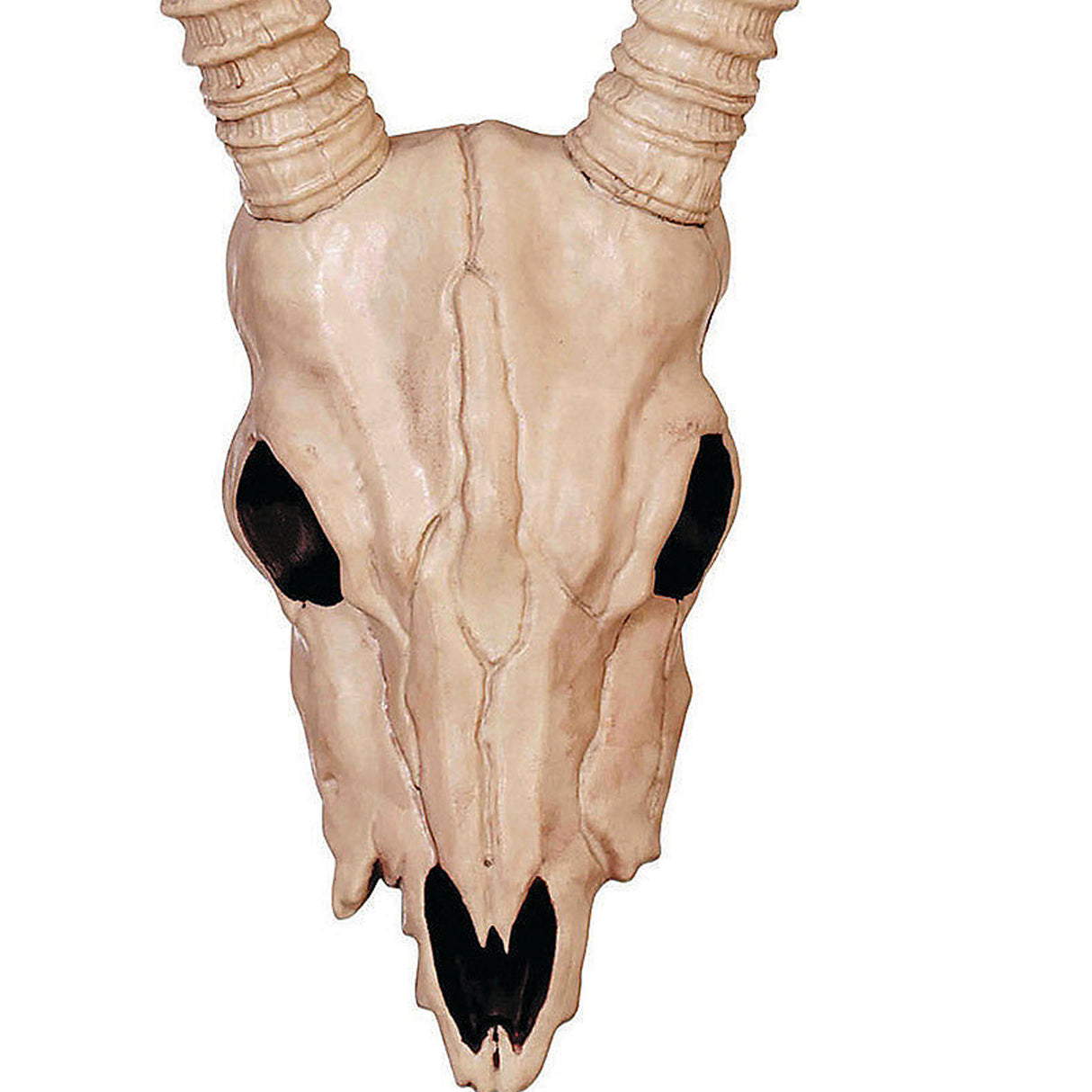 Skeleton Gazelle Head – 18" Halloween Skull Decoration