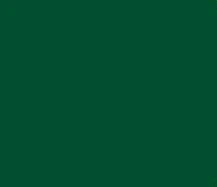 Plain Heat Transfer Vinyl - Green, Hot Peel, 20" H x 12" W (Foot)