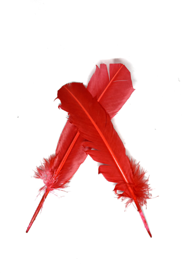 Feather Applique Red 11.50 x 2.50