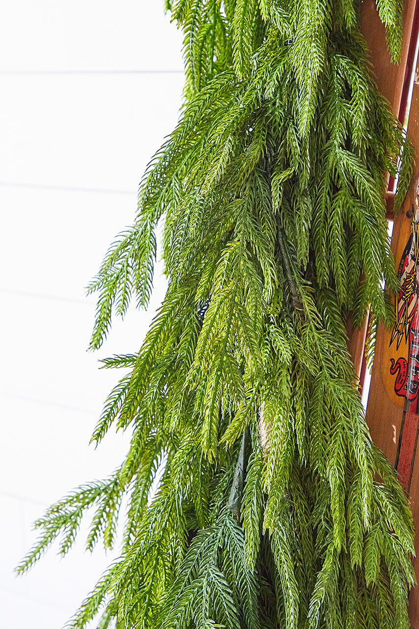 47" Real Touch Norfolk Pine Dripping Garland