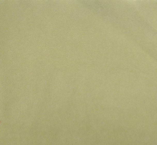 1 Yard Duomo Brushed Fabric Pistachio Color 58/60" Width Soft Polyester Apparel Use