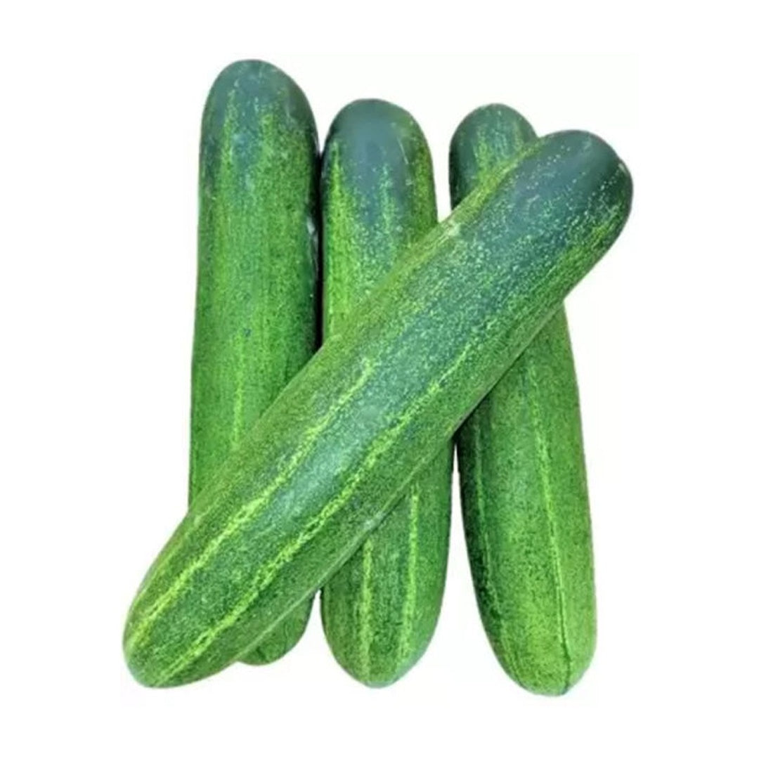 Cute Little Baby Cucumber F1 Seeds 20 Plus Green Little Finger Cucumber Seeds Very Productive for Home Gardening