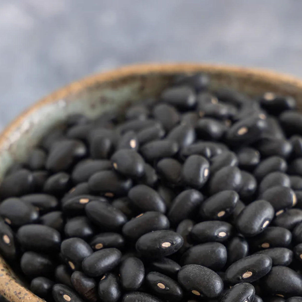 Trader Joe’s Nutritious & Versatile Organic Black Beans 15.5 Oz